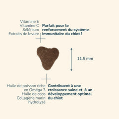Herzförmiges Futterstück von Prestige Puppy MEDIUM mit Nährstoffen wie Vitamin E, C, Selen und Omega-3-Fettsäuren.