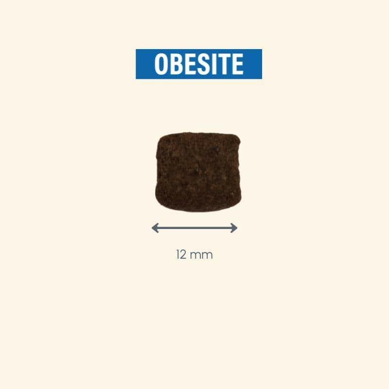 "Ein dunkles, kompaktes Objekt mit der Beschriftung 'OBESITE' auf hellem Hintergrund, symbolisiert Freundschaft zur Hundegesundheit."