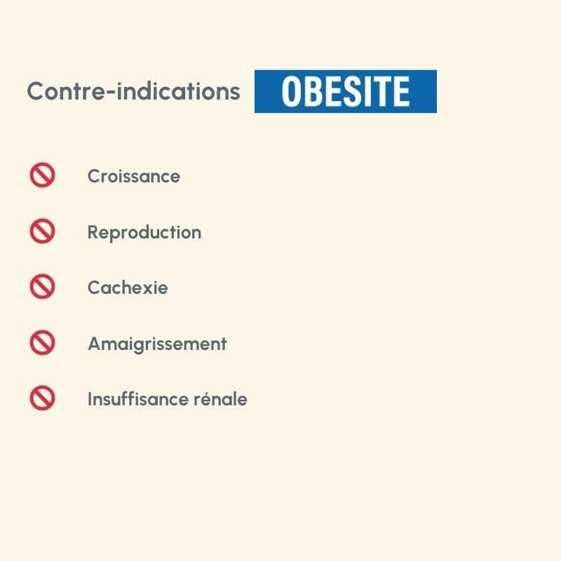Liste der Kontraindikationen für das Produkt "Protect Chien" bei Obesität, mit wichtigen Warnhinweisen.