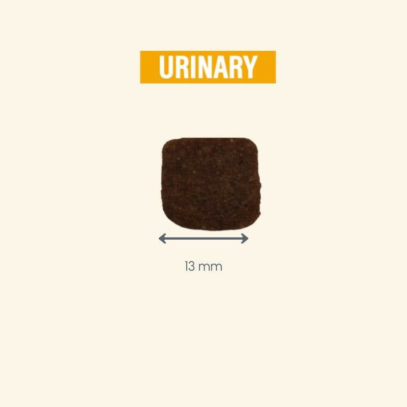 "Dunkles Quadrat mit 'URINARY' in orange-gelber Schrift auf hellbeigem Hintergrund, Teil des Protect Chien Urinary Produkts."