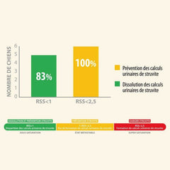 Säulendiagramm zeigt Prävention von Struvitsteinen bei Hunden: Grün 83%, Gelb für vollständige Behandlung.