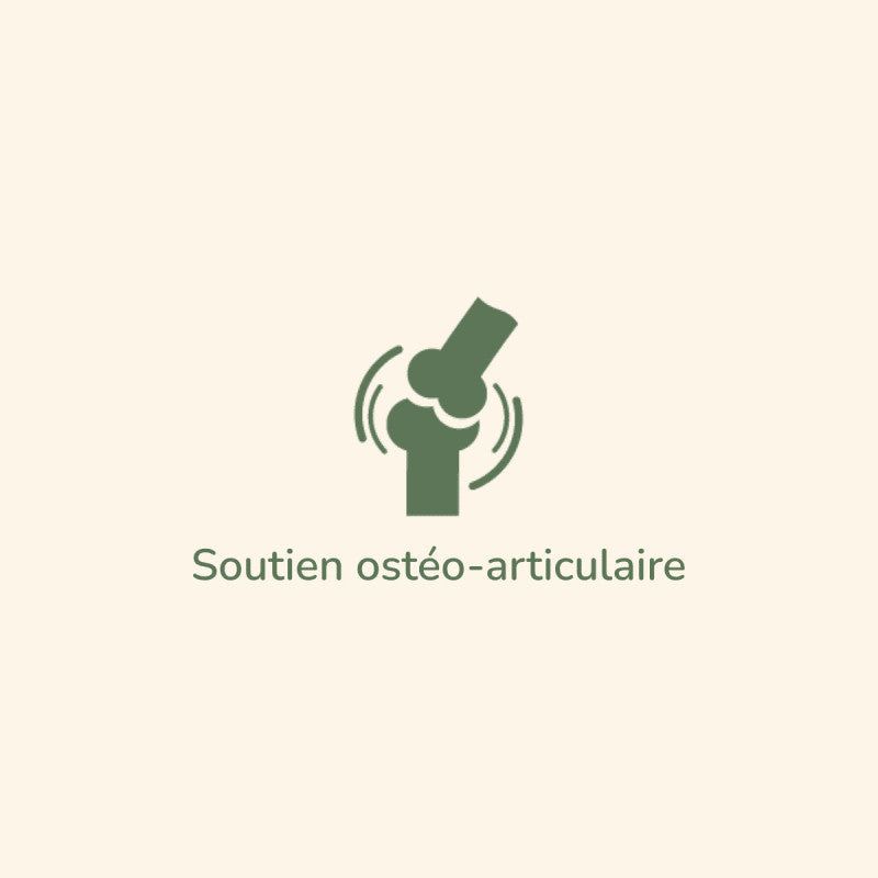 Symbol für Gelenkunterstützung mit Wellenlinien und grüner Schrift "Soutien ostéo-articulaire".