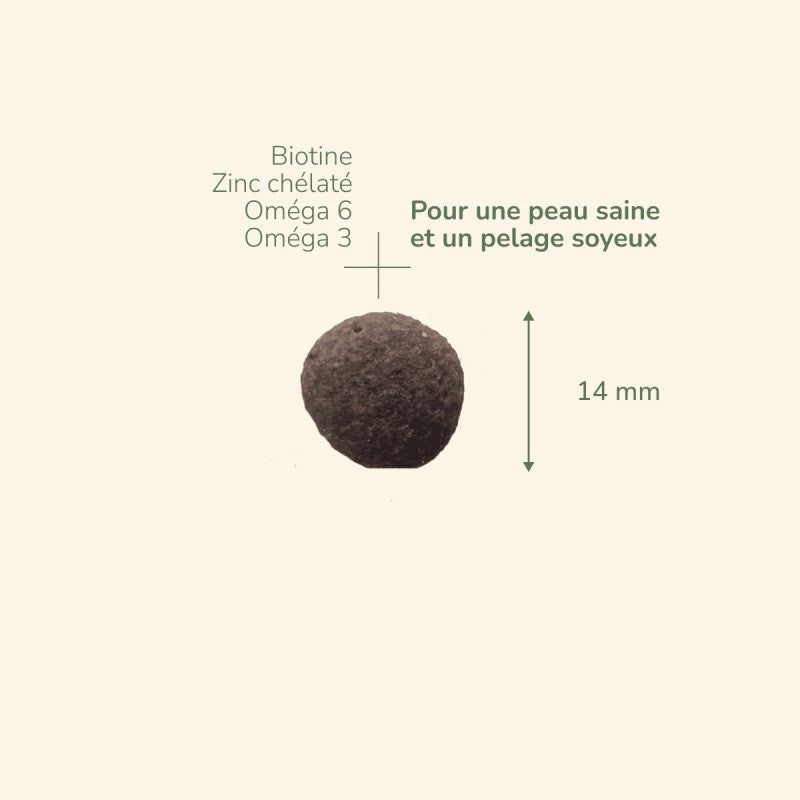 Braune, runde Tablette (14 mm) mit Inhaltsstoffen wie Biotin, Chelat-Zink, Omega 3 und Omega 6.