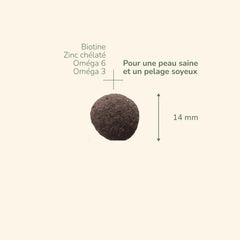 Braune, runde Tablette (14 mm) mit Inhaltsstoffen wie Biotin, Chelat-Zink, Omega 3 und Omega 6.