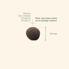 Braune, runde Tablette (14 mm) mit Inhaltsstoffen wie Biotin, Chelat-Zink, Omega 3 und Omega 6.