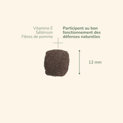 "Mini Snack für Erwachsene mit Vitaminen, Mineralstoffen und Apfelfasern, ideal für gesunde Ernährung."
