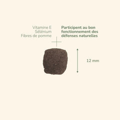 "Mini Snack für Erwachsene mit Vitaminen, Mineralstoffen und Apfelfasern, ideal für gesunde Ernährung."