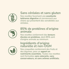 "Pure Life Puppy Mini Medium Poissons: Getreidefreies Hundefutter mit 85% tierischen Proteinen und natürlichen Zutaten."