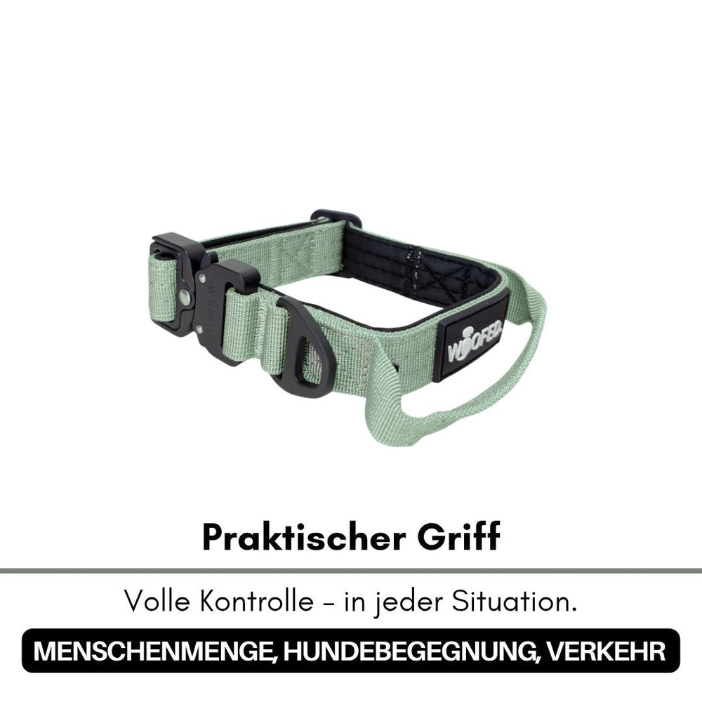 Halsband für kleine Hunde aus Nylon in hellgrün mit praktischem Griff und Aluverschluss für optimale Kontrolle.