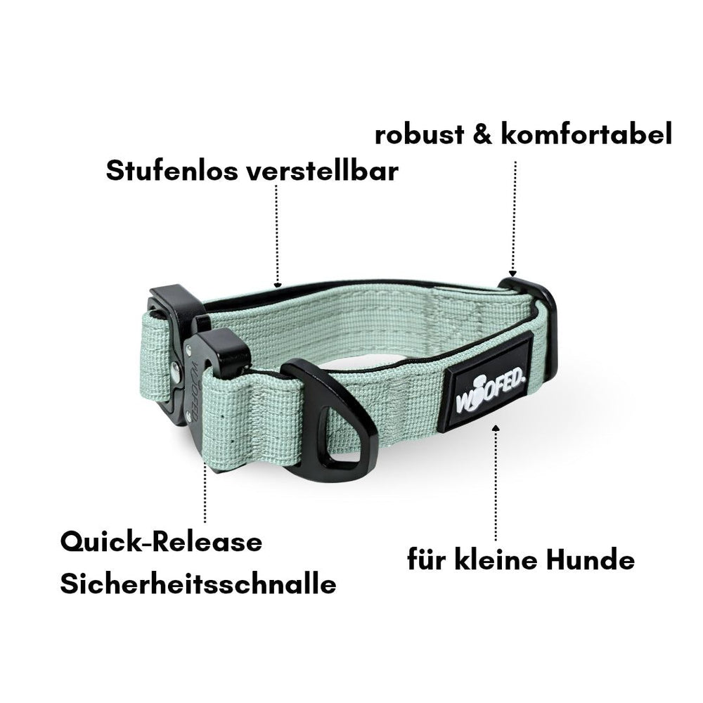 Mintgrünes Nylon-Hundehalsband für kleine Hunde, robust, verstellbar und mit sicherem Aluverschluss.