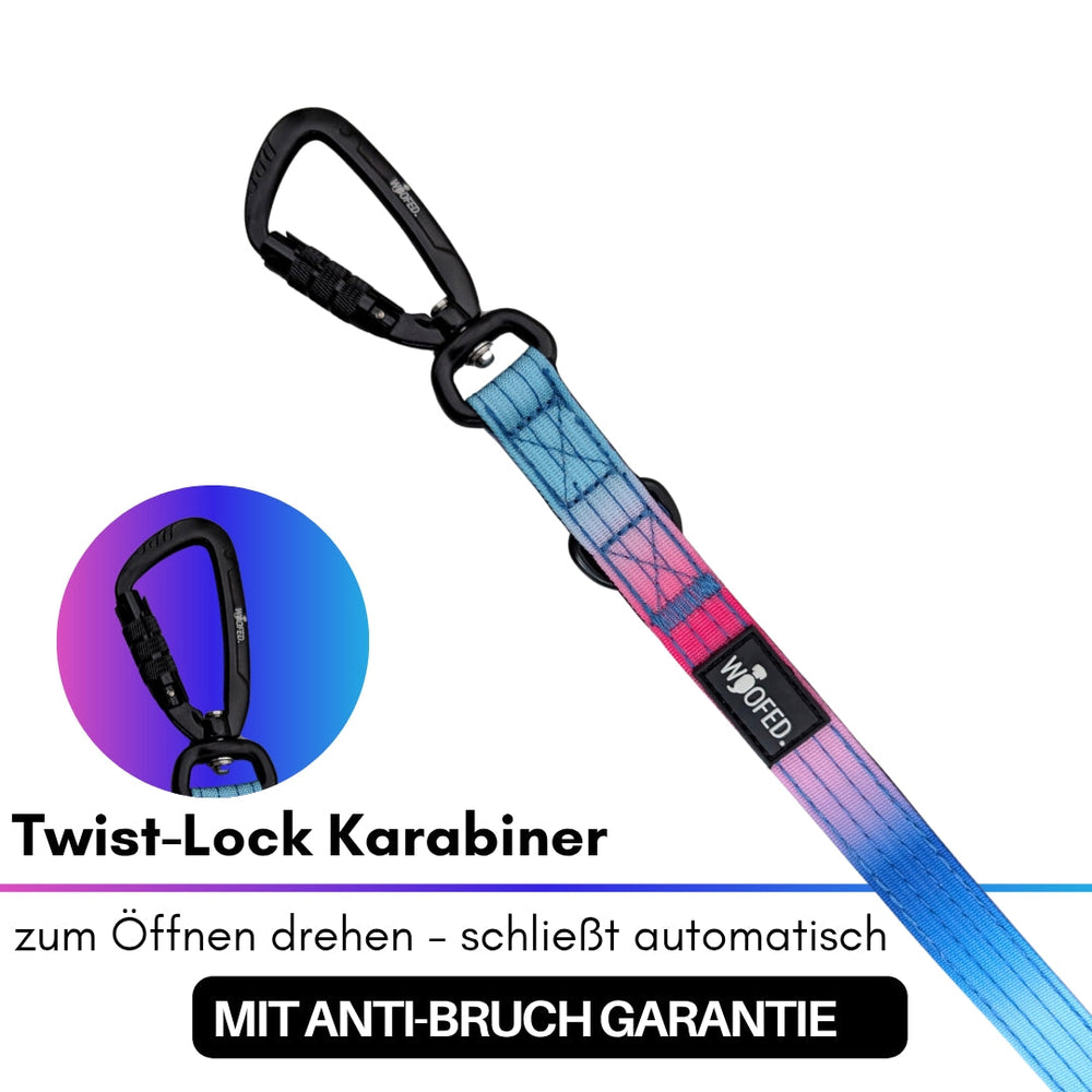 Schwarzer Twist-Lock Karabiner mit buntem blau-roséfarbenem Band für sichere Führleine im Einsatz.