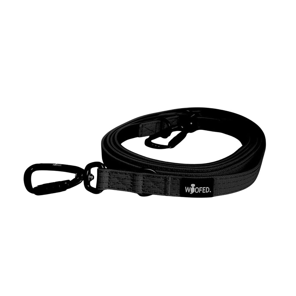 Schwarze Hunde-Führleine aus Nylon mit Karabinerhaken und gepolstertem Griff, ideal für Sicherheit und Komfort.
