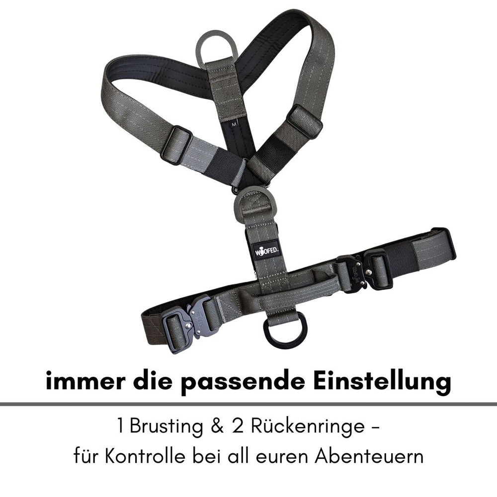 Graues Y-Hundegeschirr mit Griff, Brustschnalle und zwei Rückenringe für optimale Kontrolle im Abenteuer.