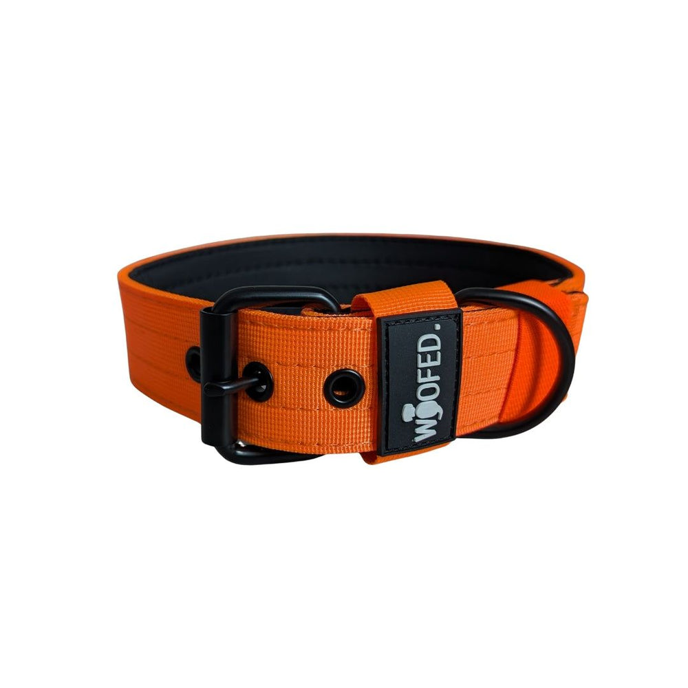 orangefarbenes WOOFED. Nylon Classic Halsband mit schwarzem Innenfutter und robuster Schnalle, ideal für Hunde jeden Typs