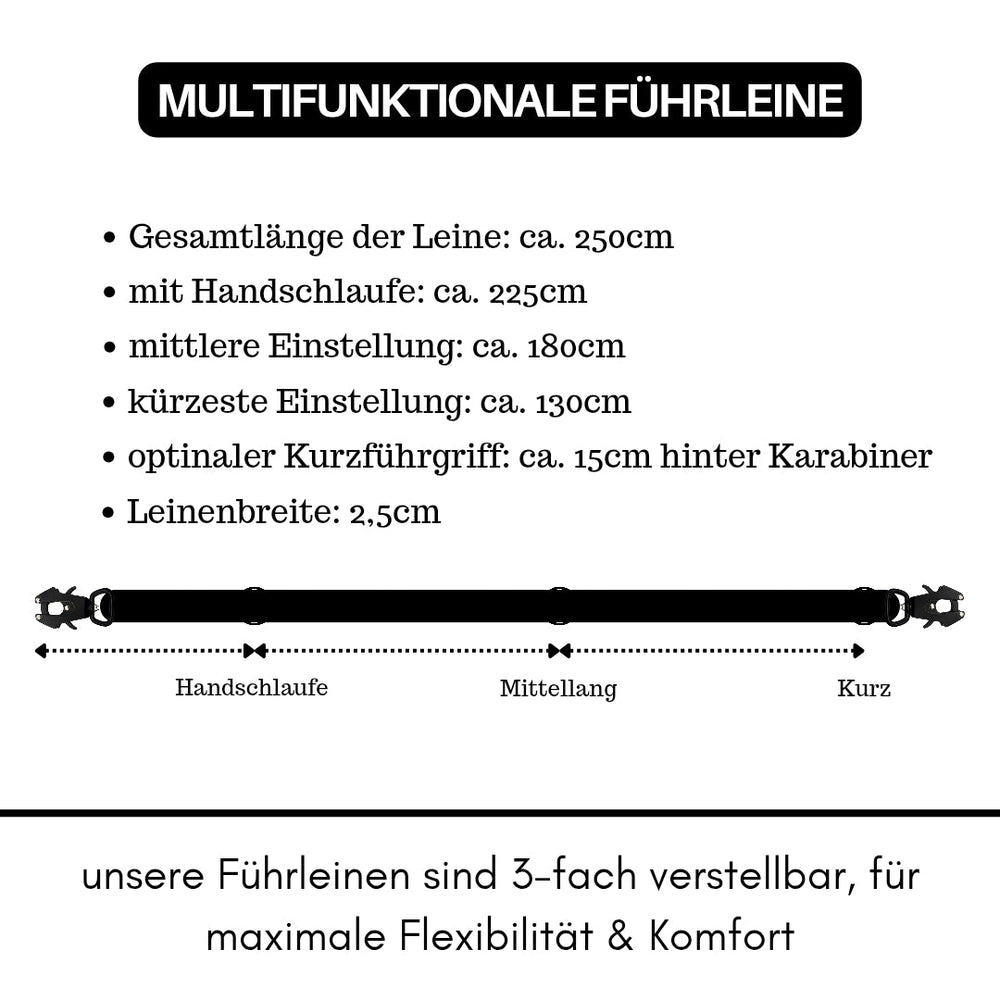 Multifunktionale Nylonführleine mit Froschkarabiner, 250 cm lang, dreifach verstellbar, Hand- und Mittelschlaufe.