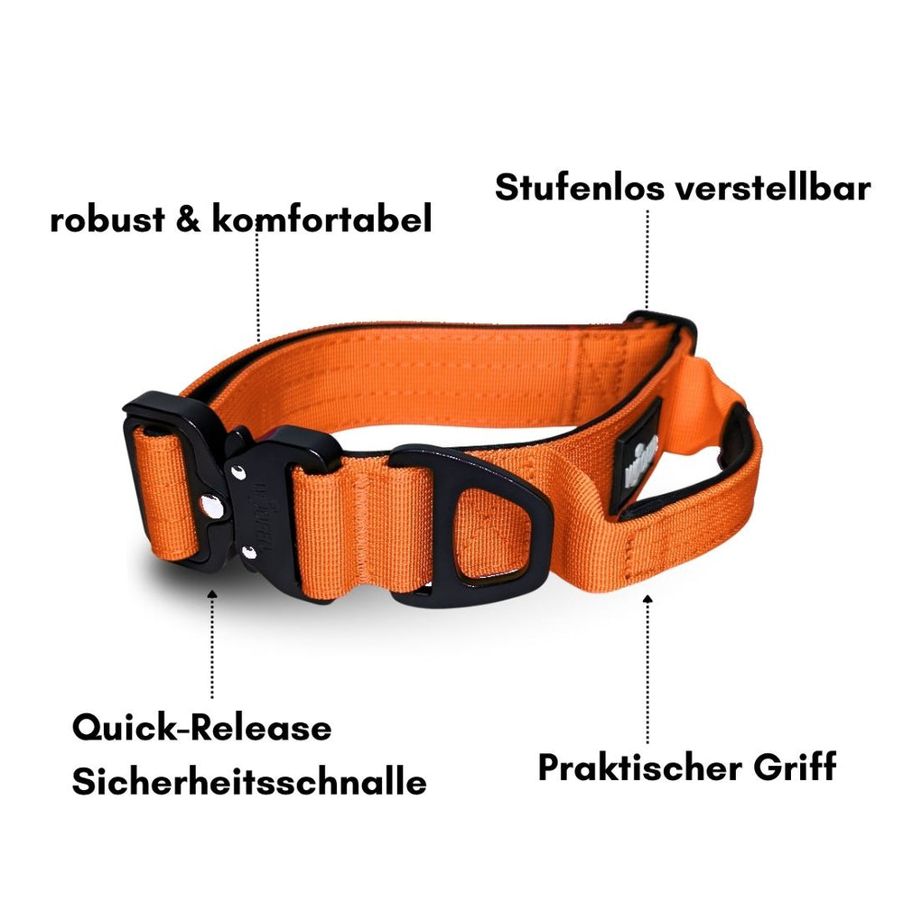 Ultraleichtes Nylon Halsband mit Griff in leuchtendem Orange, stufenlos verstellbar und mit Sicherheitschnalle.