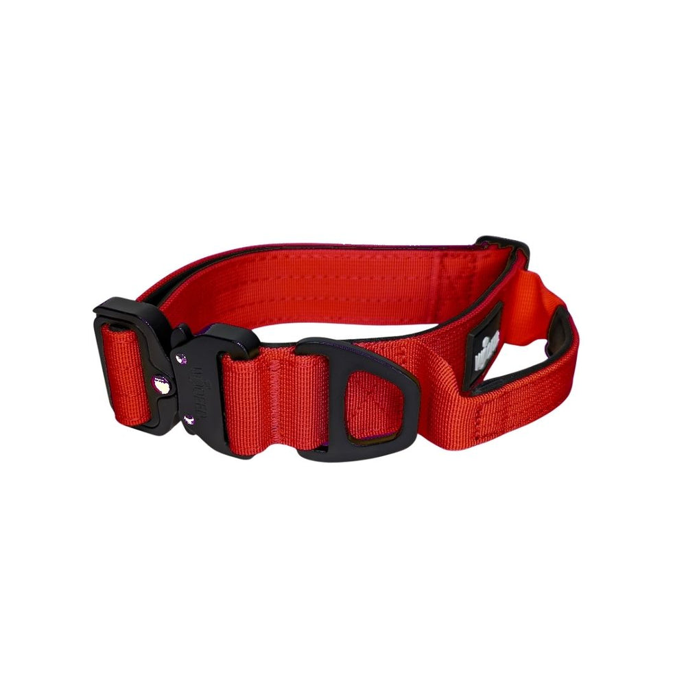 Rotes Nylon Halsband mit Griff, stabiler Schnalle und verstellbarer Länge für optimalen Komfort und Haltbarkeit.