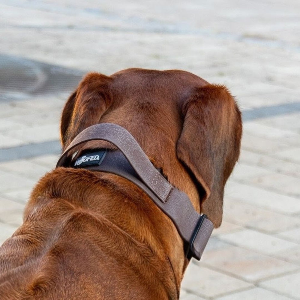 Hinterkopf eines braunen Hundes mit grauem WOOFLEX® Halsband auf gepflastertem Boden.