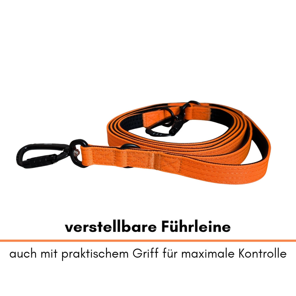 Verstellbare orange Führleine aus Nylon mit Sicherheitskarabiner und praktischem Griff für optimale Kontrolle beim Gassigehen.