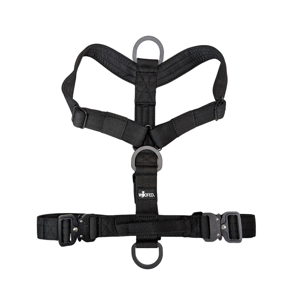 Schwarzes Y-Hundegeschirr mit ergonomischem Design, verstellbaren Riemen und komfortabler Polsterung. Ideal für aktive Hunde.