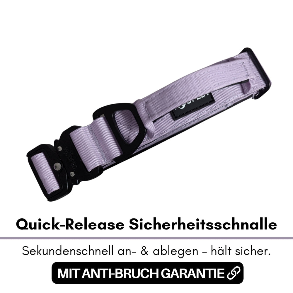"Lila Quick-Release Schnalle für Nylon Halsband mit Anti-Bruch Garantie und schnellem Befestigungssystem."