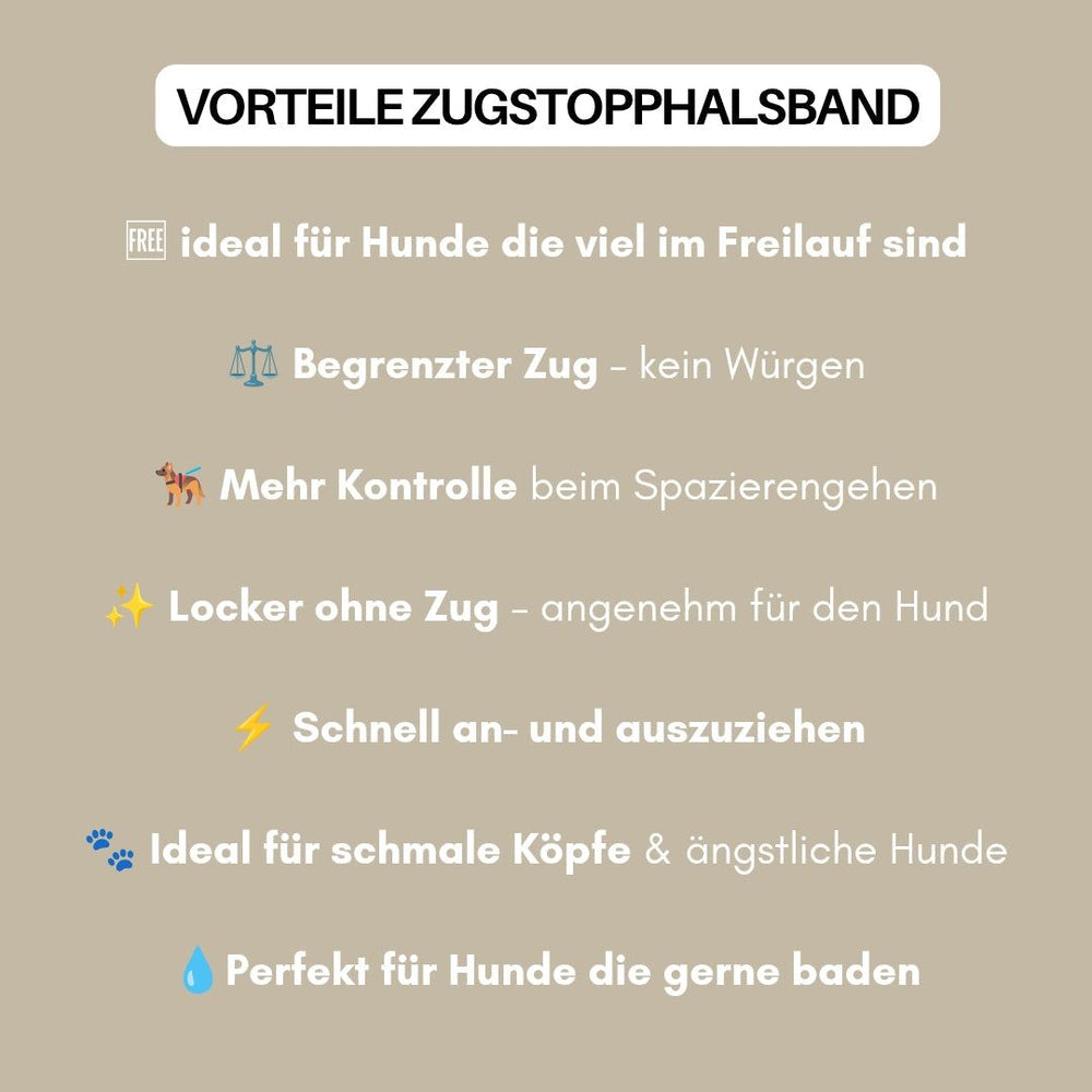 Vorteile des Zugstopphalsbands WOOFLEX® für Freilaufhunde: begrenzter Zug, kein Würgen, ideal für sicheres Gehen.
