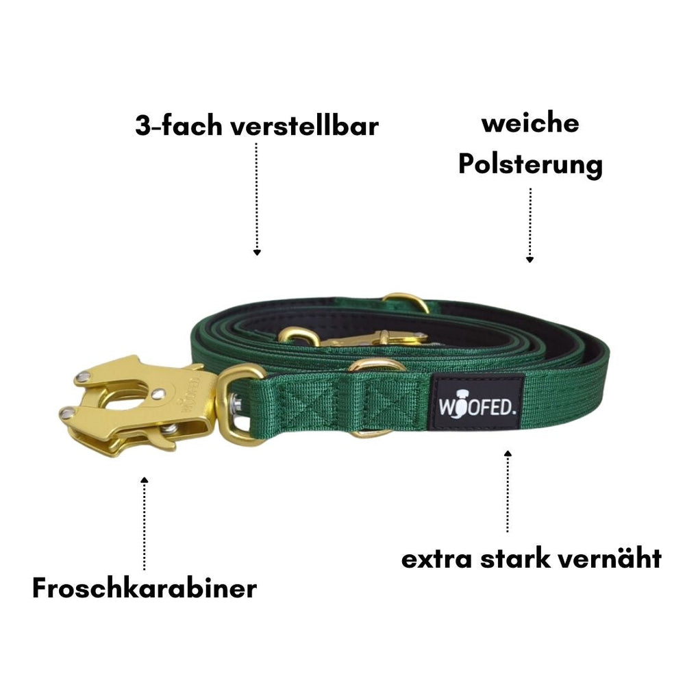 Grüne Hundeleine aus Nylon mit goldenem Froschkarabiner, dreifach verstellbar und gepolstert für hohen Tragekomfort.