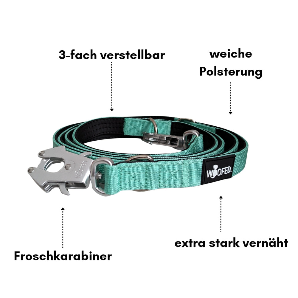 Dreifach verstellbare mintgrüne Hundeleine mit weicher Polsterung und starkem Froschkarabiner für optimalen Komfort und Sicherheit.