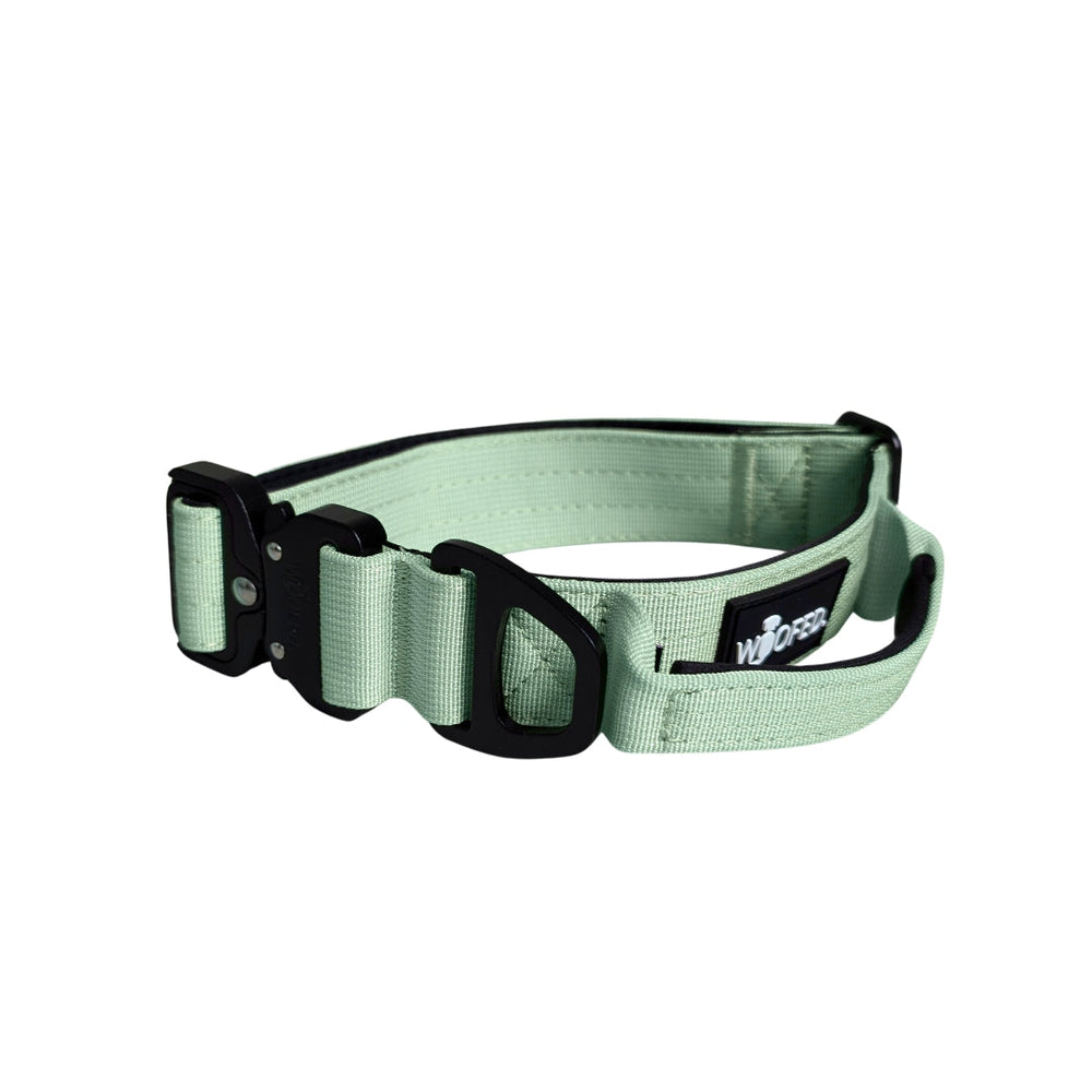 "Ultraleichtes grünes Nylon-Halsband für Hunde mit stabiler Schlaufe und robustem schwarzen Verschluss."