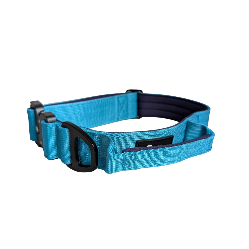 "Ultraleichtes Nylon Halsband für Hunde in Blau mit robustem D-Ring und praktischem Griff"