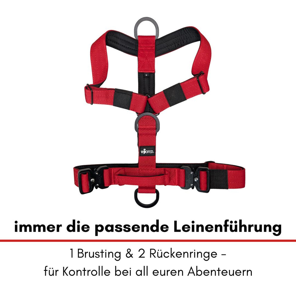 Rotes Y-Hundegeschirr mit Griff und zwei Rückenringen für optimale Kontrolle bei Aktivitäten.