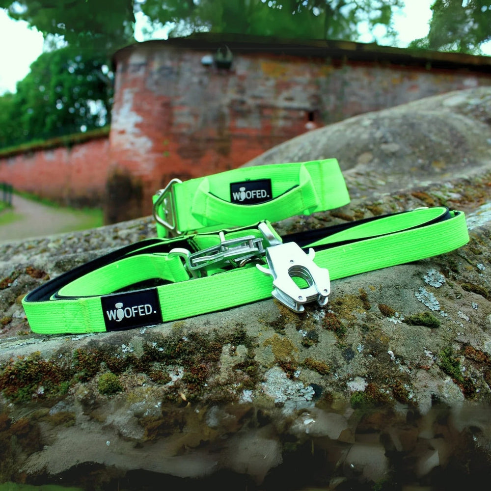 Leuchtend grüne Hundeleine aus Nylon mit robustem Froschkarabiner auf grauem Stein.