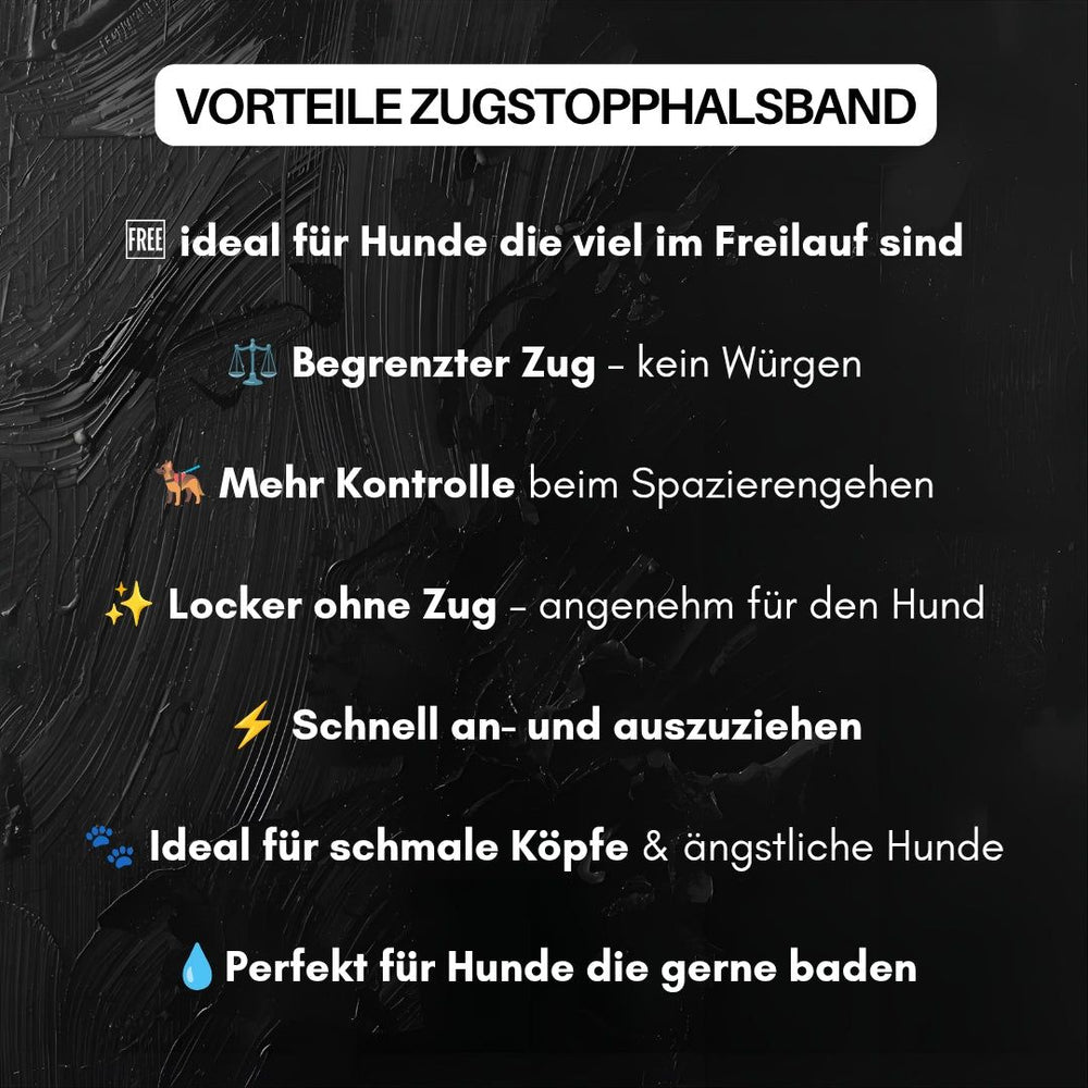 Zugstopphalsband WOOFLEX®: Vorteile für aktive Hunde, wie begrenzter Zug und bessere Kontrolle beim Spaziergang.