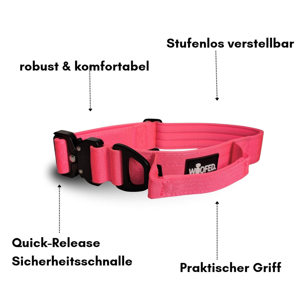Pinkfarbenes Nylon-Halsband mit Griff für Hunde, leicht, verstellbar und mit Quick-Release Sicherheitschnalle.