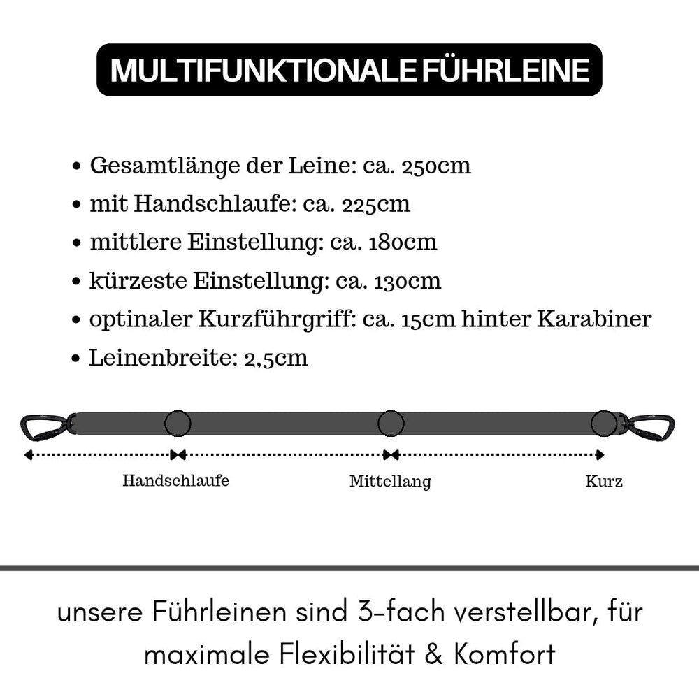 Multifunktionale Nylon-Hundeleine mit Sicherheitskarabiner und variabler Länge von 250 cm, ideal für Spaziergänge.