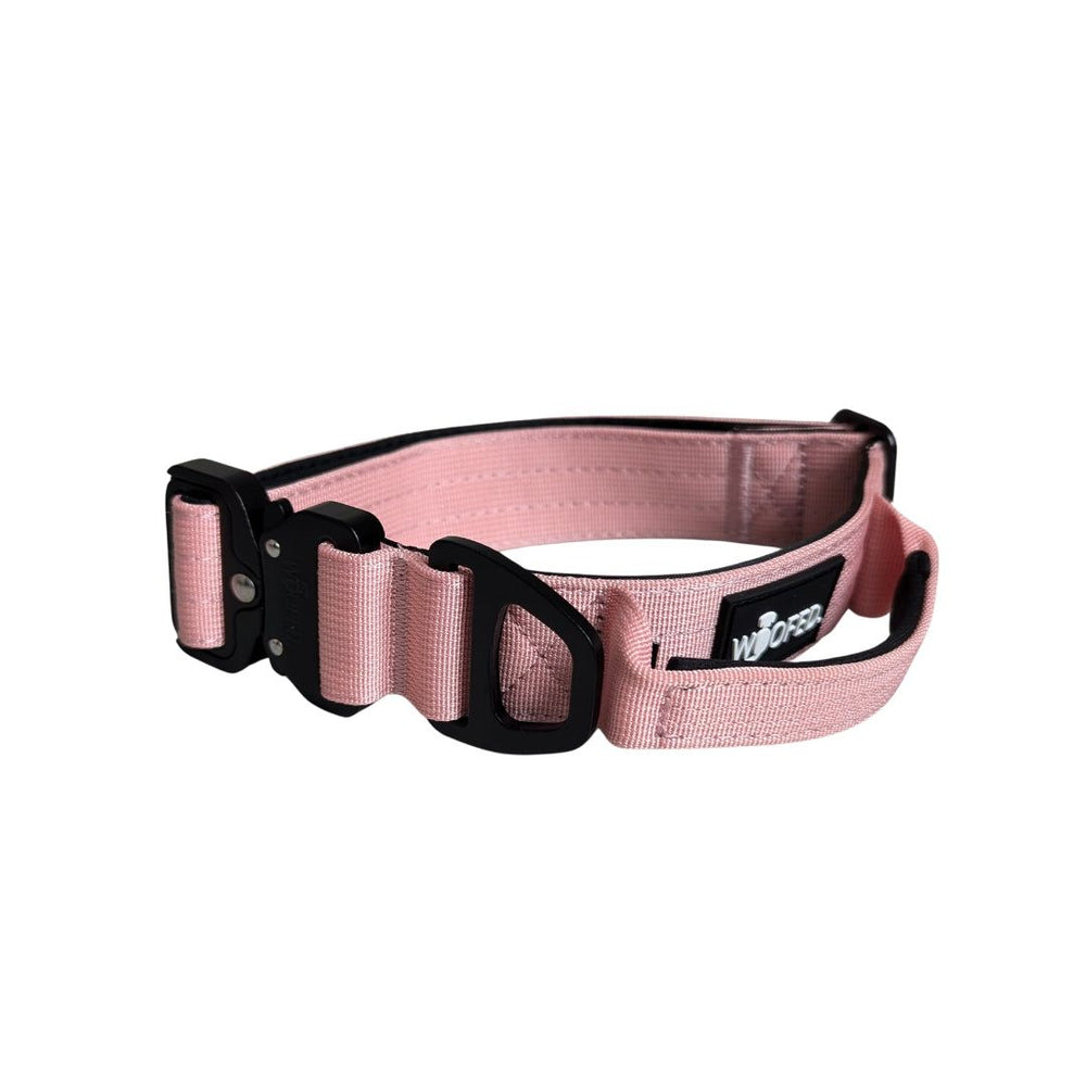 Ultraleichtes pinkfarbenes Nylon-Halsband für Hunde mit Griff und schwarzer Kunststoffschnalle. Ideal für entspannte Spaziergänge.