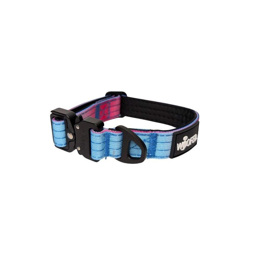 Taktisches Nylon Halsband für kleine Hunde in Blau- und Rosatönen, gepolstert und mit stabilem Verschluss für Komfort und Sic