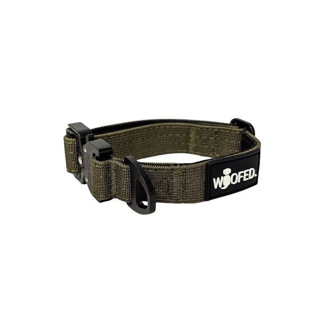 Halsband für kleine Hunde aus Nylon mit Aluverschluss