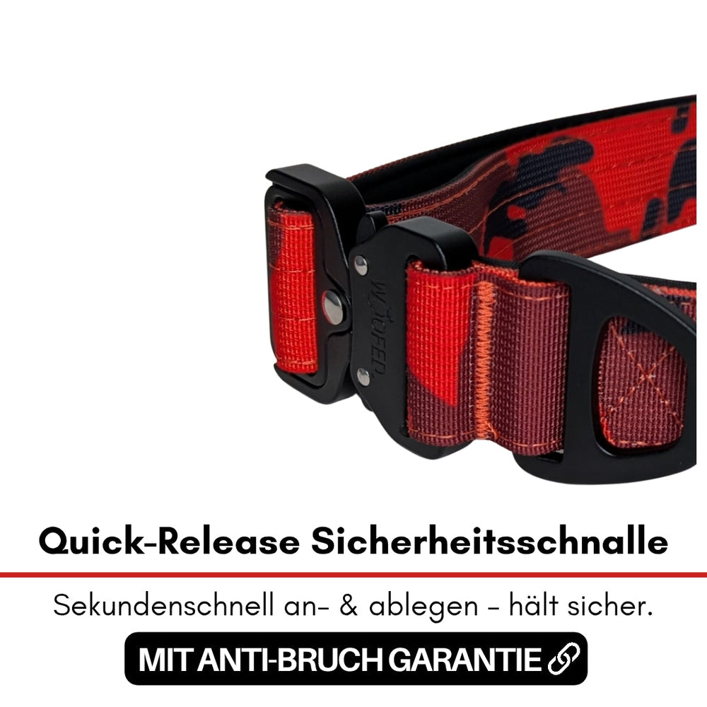 Nylon Halsband mit roter Quick-Release Schnalle, sicher und leicht, ideal für Hunde – einfache Handhabung garantiert.