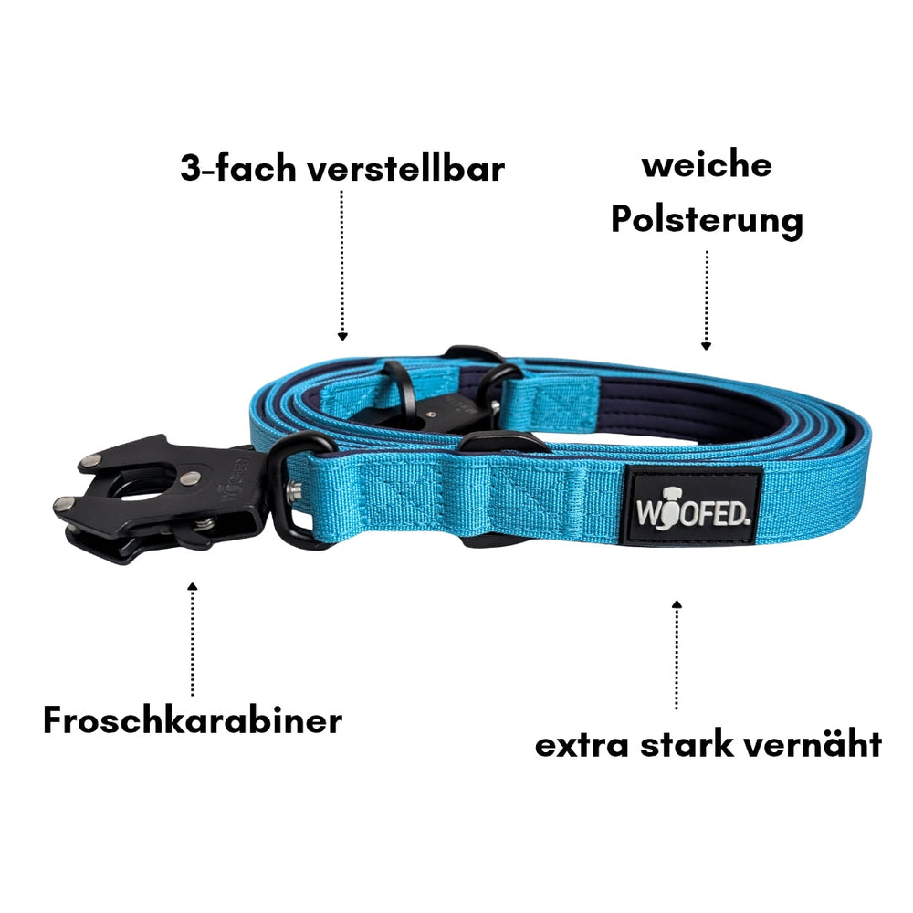 Türkises Hundehalsband aus Nylon, dreifach verstellbar, weich gepolstert, ausgestattet mit robustem Froschkarabiner.
