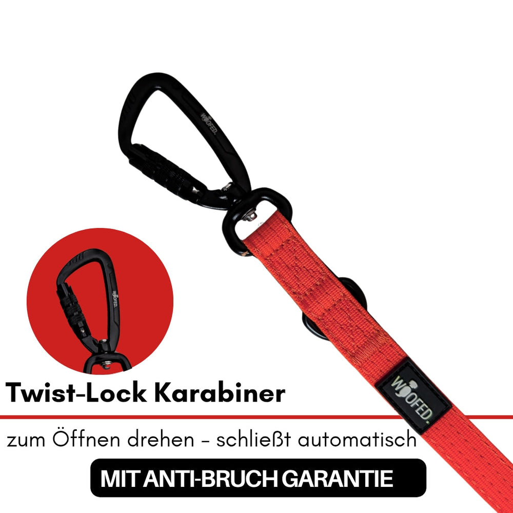 Roten Hundeleinen-Haken mit schwarzem Twist-Lock-Karabiner für sichere, automatische Schließfunktion.
