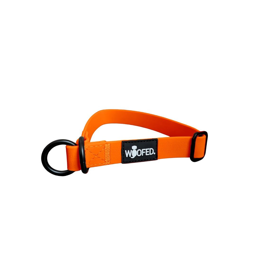 Orangenes, verstellbares Hundehalsband WOOFLEX® mit D-Ringen für Leine und Anhänger aus strapazierfähigem Material.