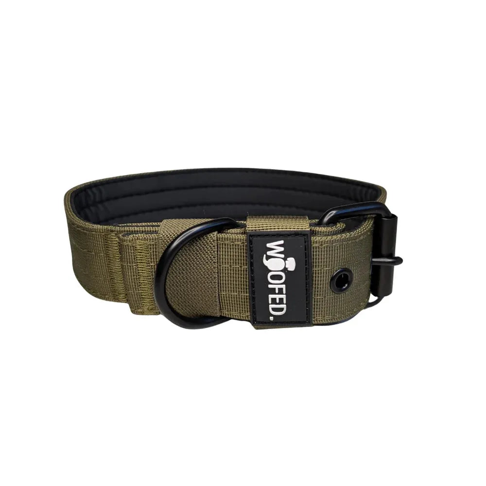 Nylon Classic Halsband in olivgrün mit stabiler Schnalle und D-Ring für Hunde, strapazierfähig und komfortabel.