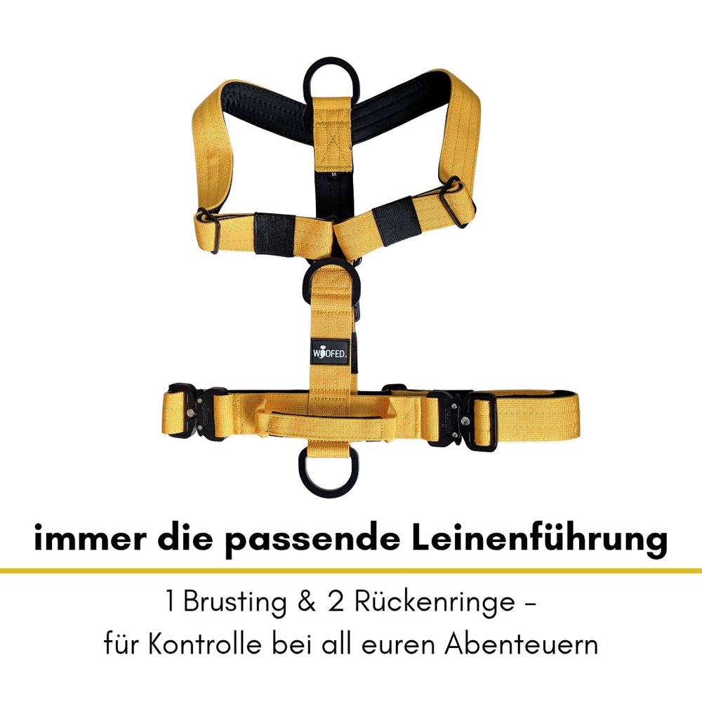 "Gelbes Y-Hundegeschirr mit Griff, Brustring und zwei Rückenringen für flexible Leinenführung und hohen Tragekomfort."