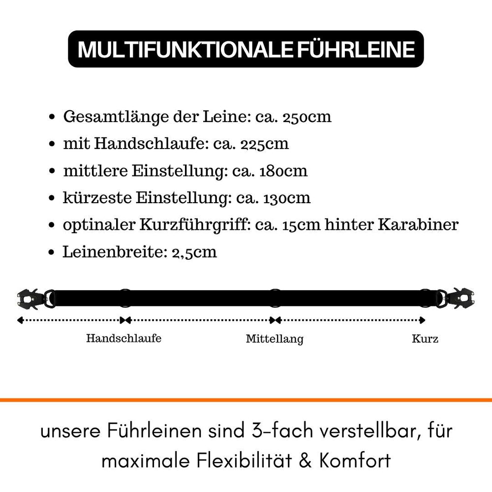 "Multifunktionale Nylon-Führleine mit Froschkarabiner in drei Längen: 250 cm, 180 cm und kürzeste Einstellung."
