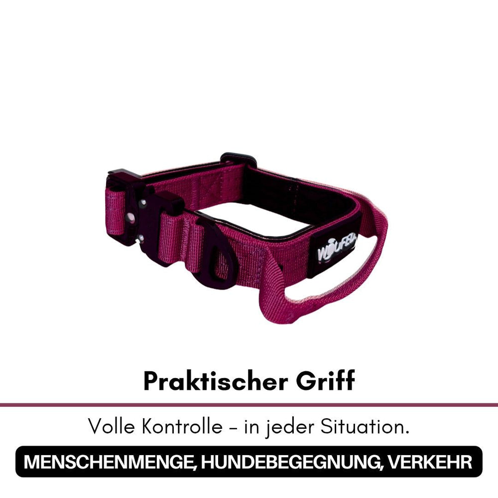 Halsband für kleine Hunde aus Nylon in Pink mit Aluverschluss und praktischem Griff für optimale Kontrolle.