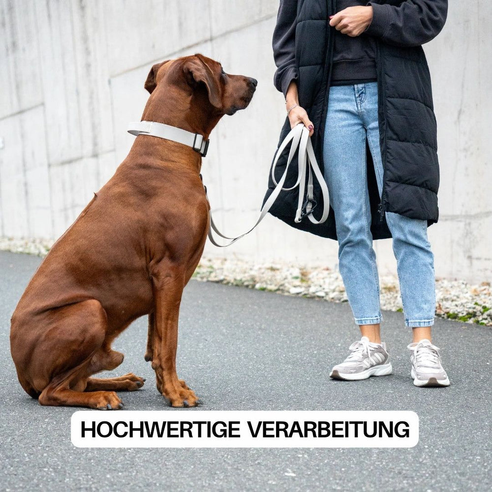 Großer brauner Hund mit WOOFLEX® Halsband und Froschkarabiner, gehalten von Person in schwarzer Weste und Jeans.