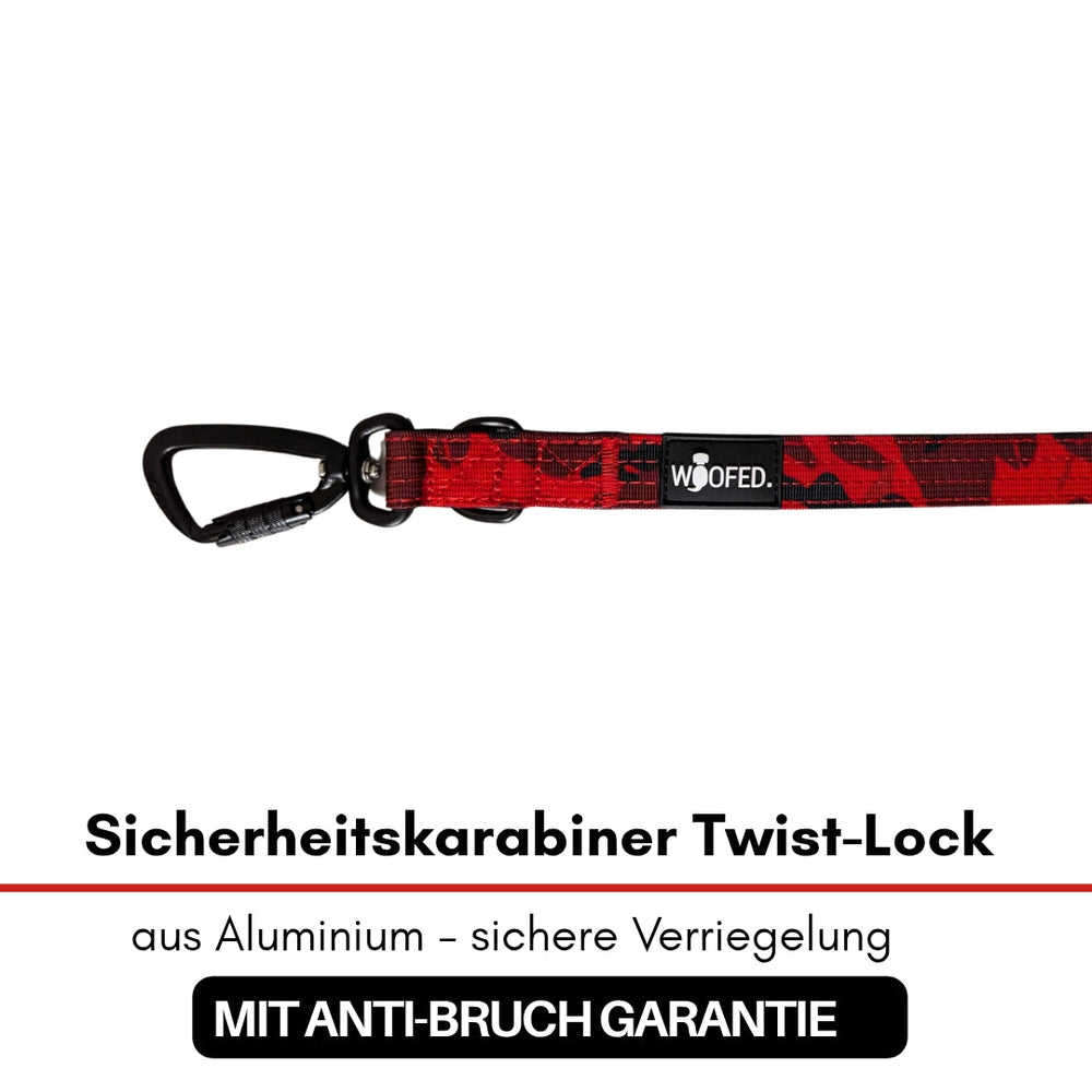 Sicherheitskarabiner aus Aluminium mit Twist-Lock-Funktion und Anti-Bruch-Garantie für optimale Sicherheit im Outdoor-Bereich.