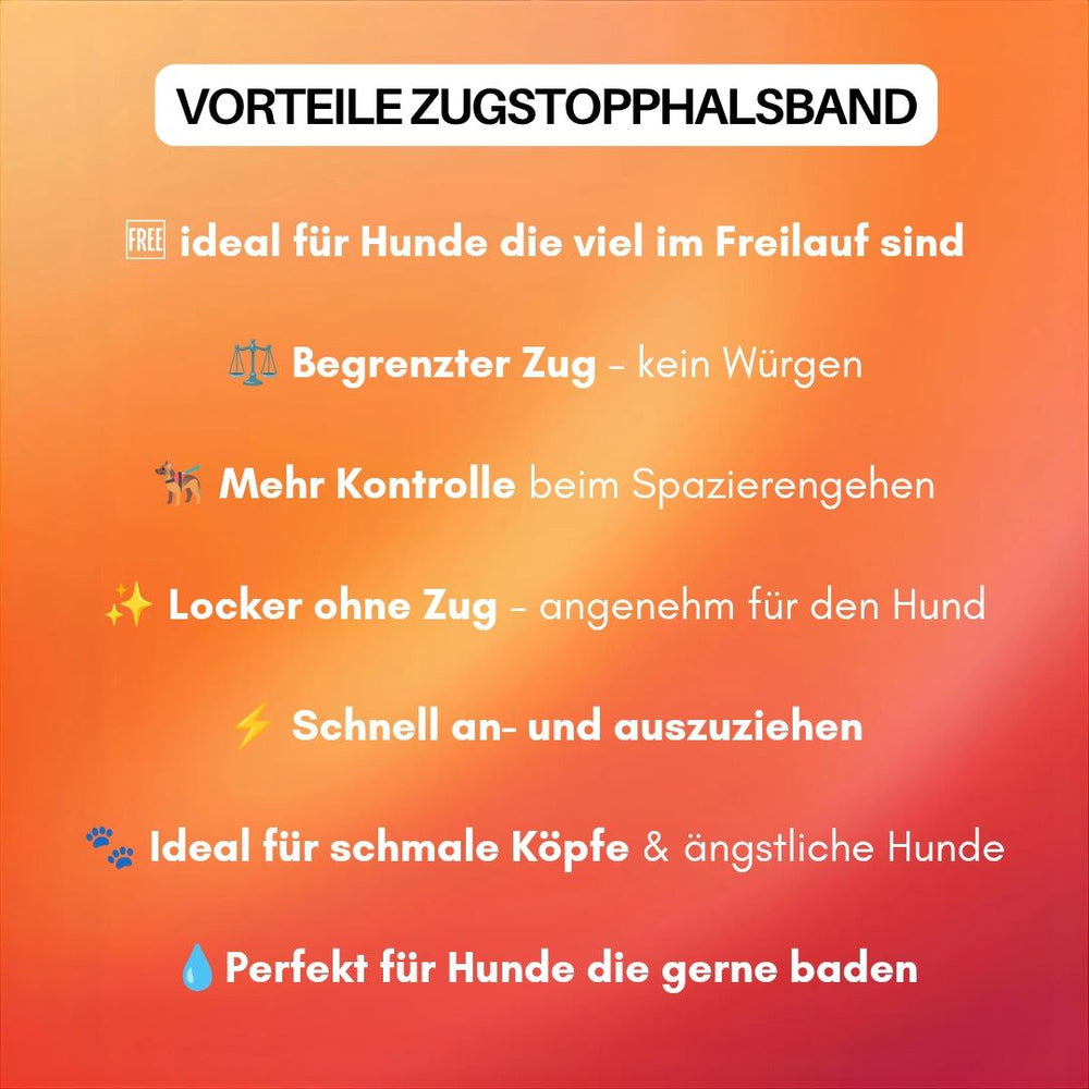 Vorteile des Zugstopphalsbands WOOFLEX® für Hunde: ideal für Freilauf, kein Würgen, bequem und sicher.