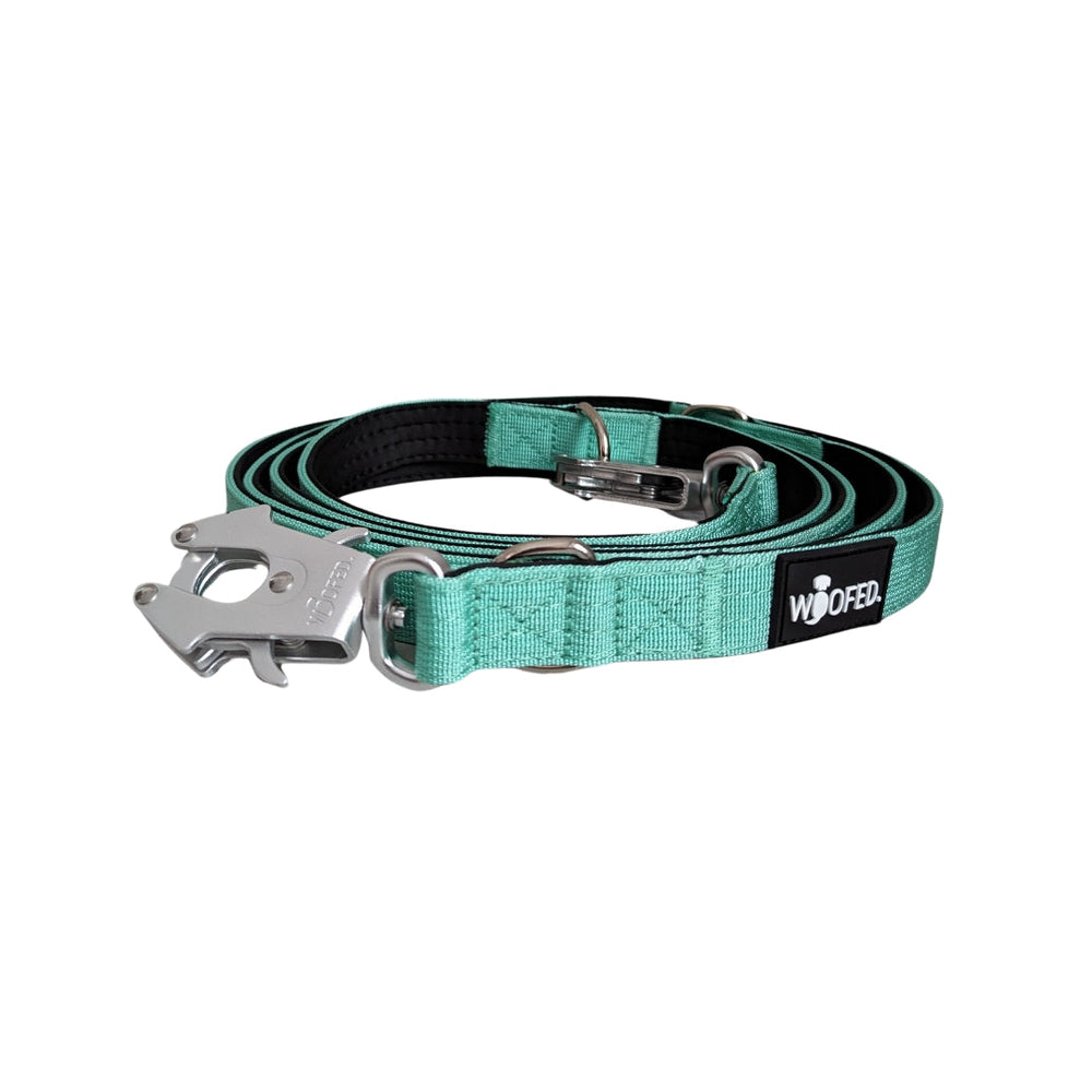 Strapazierfähige mintgrüne Hundeleine aus Nylon mit stabilen Froschkarabiner und D-Ringen für vielseitige Nutzung.